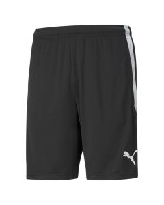 teamLIGA  Training Shorts